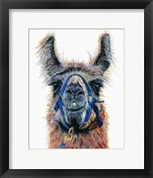 Framed Dalai Llama