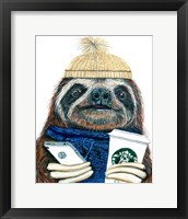 Framed Urban Sloth