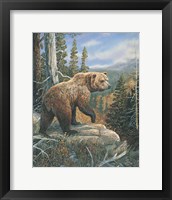 Framed Grizzlies Domain 2