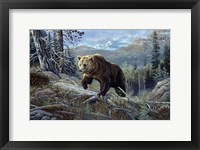 Framed Over The Top Grizzly