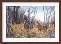 Framed Bowhunter's Dream