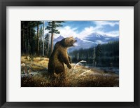 Framed Ghost Grizzly