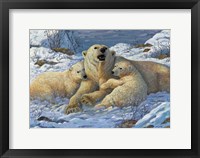 Framed Snow Bears