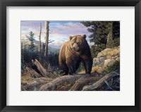 Framed Mountain Winds Grizzly