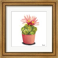 Framed 'Cactus Flowers I' border=