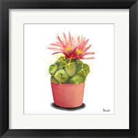 Framed 'Cactus Flowers I' border=