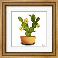 Framed 'Cactus Flowers III' border=