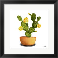 Framed 'Cactus Flowers III' border=