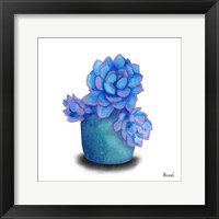 Turquoise Succulents I Framed Print