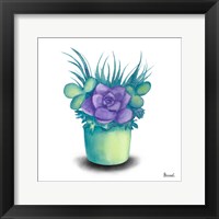 Turquoise Succulents III Framed Print