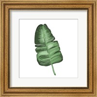 Framed 'Leaves of the Tropics I' border=