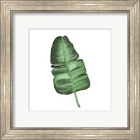 Framed 'Leaves of the Tropics I' border=