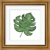 Framed 'Leaves of the Tropics II' border=