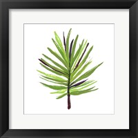 Framed 'Leaves of the Tropics III' border=