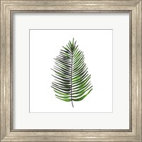 Framed 'Leaves of the Tropics IV' border=