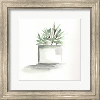 Framed 'Watercolor Cactus Still Life IV' border=