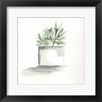 Watercolor Cactus Still Life IV Framed Print