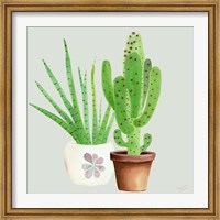 Framed Succulent Symphony II clean