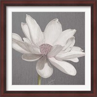 Framed 'Vintage Lotus on Grey I' border=