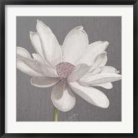 Vintage Lotus on Grey I Framed Print