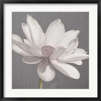 Framed 'Vintage Lotus on Grey I' border=