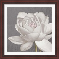 Framed 'Vintage Lotus on Grey II' border=