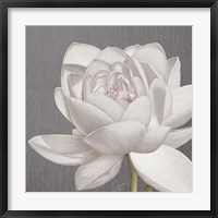 Framed 'Vintage Lotus on Grey II' border=