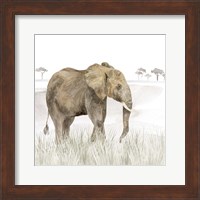 Framed 'Serengeti Elephant Square' border=