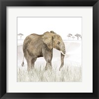 Framed Serengeti Elephant Square