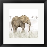 Framed 'Serengeti Elephant Square' border=