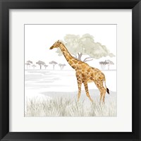 Framed Serengeti Giraffe Square