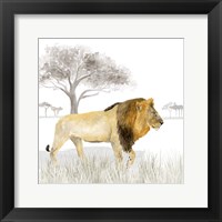Framed 'Serengeti Lion Square' border=