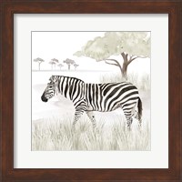 Framed 'Serengeti Zebra Square' border=