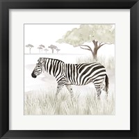 Framed 'Serengeti Zebra Square' border=