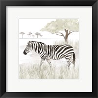 Framed 'Serengeti Zebra Square' border=