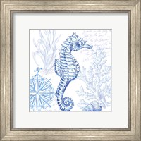 Framed 'Coastal Sketchbook Sea Horse' border=