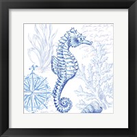 Framed Coastal Sketchbook Sea Horse