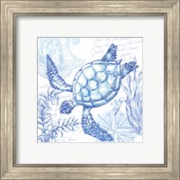 Framed 'Coastal Sketchbook Turtle' border=