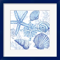 Framed Coastal Sketchbook Shell Toss