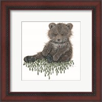 Framed 'Baby Bear' border=