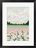 Framed Pink Poppies