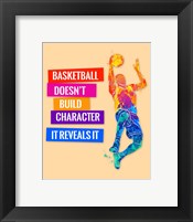 Framed Basketball 3