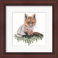 Framed 'Baby Fox' border=