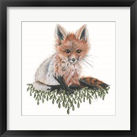 Framed 'Baby Fox' border=