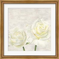 Framed 'Classic Roses I' border=