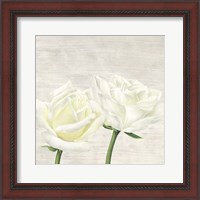 Framed 'Classic Roses II' border=