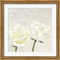 Framed 'Classic Roses II' border=