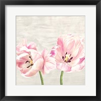 Framed 'Classic Tulips II' border=