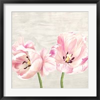 Framed 'Classic Tulips II' border=