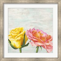 Framed Funky Roses I